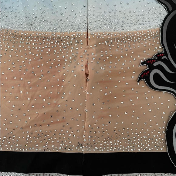 ICONIC Cheer Athletics Panthers Cheer Uniform - Picture 4 of 5